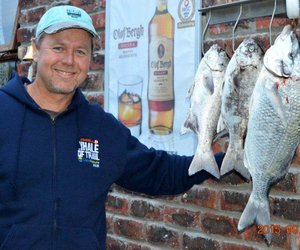 Pearly versus Goodwood